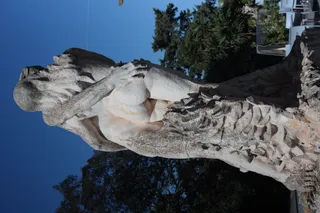 Carl Zeiss Jena DDR Pancolar Electric 50mm f1.8 (M42) - 00003629.webp