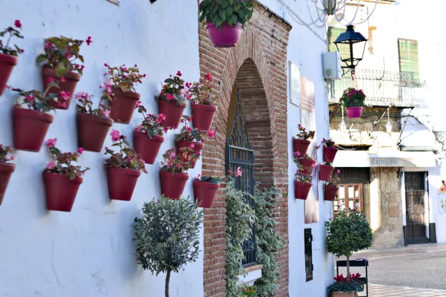 Zenith Helios-77M-4 50mm f1.8 VOMZ (M42) - 00001009.webp