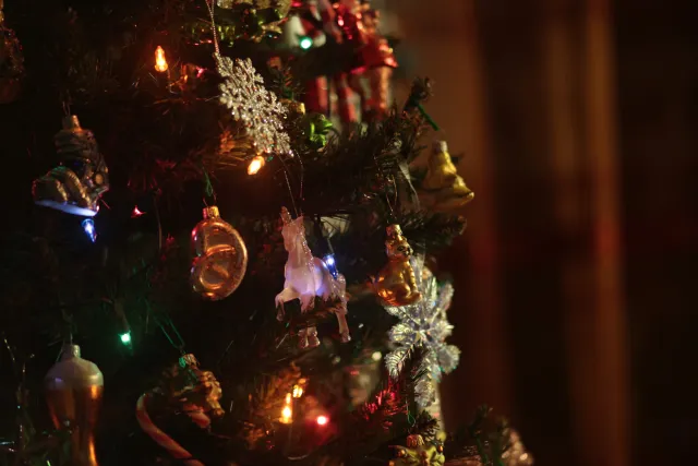 Auto Exaktar EEM 35mm f2.8 ( Minolta MD) - 00001951.webp