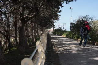 Carl Zeiss Jena DDR Pancolar Electric 50mm f1.8 (M42) - 00003607.webp