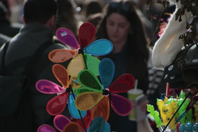 Tamron 28-300mm F3.5-6.3 (EF) - 00004159.webp