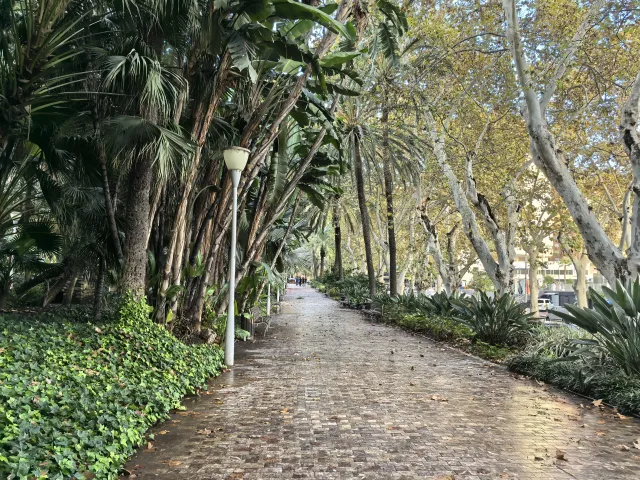 HUAWEI Pura 70 Ultra - System Aparatów - 00002344.webp