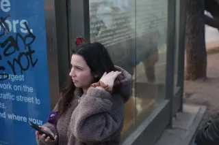 Carl Zeiss Jena DDR Pancolar Electric 50mm f1.8 (M42) - 00003783.webp