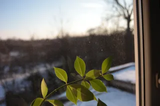 Super Paragon PMC II Auto 28mm f2.8 (Minolta MD) - 00004721.webp