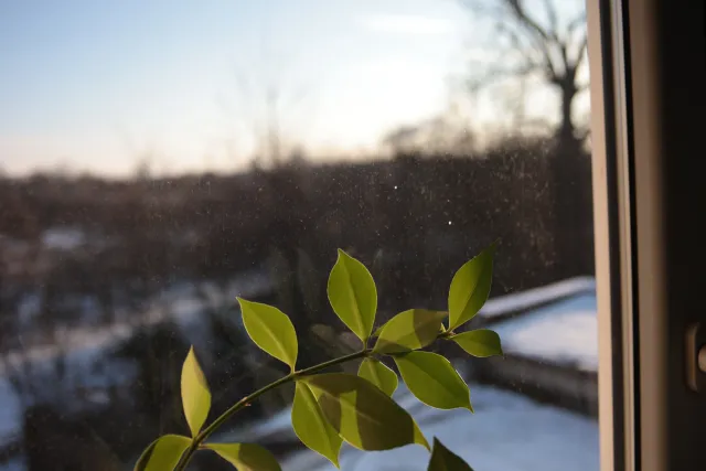 Super Paragon PMC II Auto 28mm f2.8 (Minolta MD) - 00004721.webp