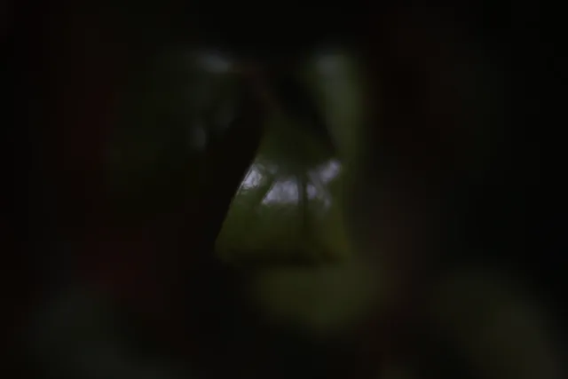 ISCO-Göttingen Kiptaron 65mm f1.6 (DIY) - 00003209.webp