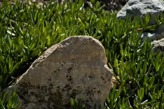 Tamron 28-300mm F3.5-6.3 (EF) - 00001067.webp