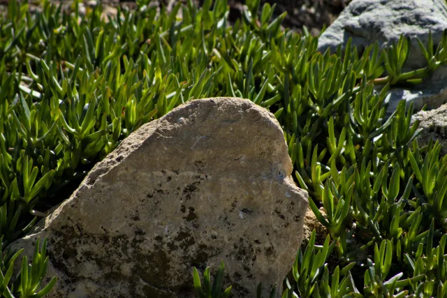 Tamron 28-300mm F3.5-6.3 (EF) - 00001067.webp