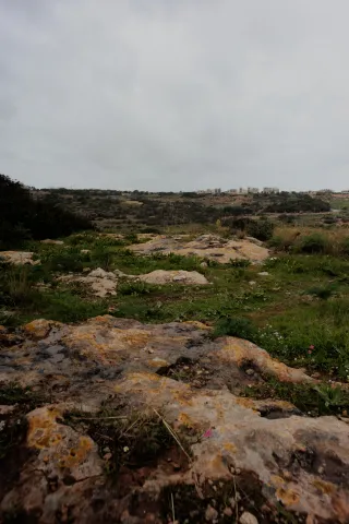 Carl Zeiss Flektogon f4 20mm (m42).md - 00004514.webp