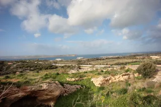 Carl Zeiss Flektogon f4 20mm (m42).md - 00004592.webp