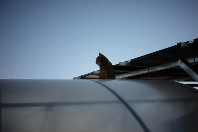 Kilfitt Makro-Kilar D f2.8 40mm (EXA) - 00004881.webp