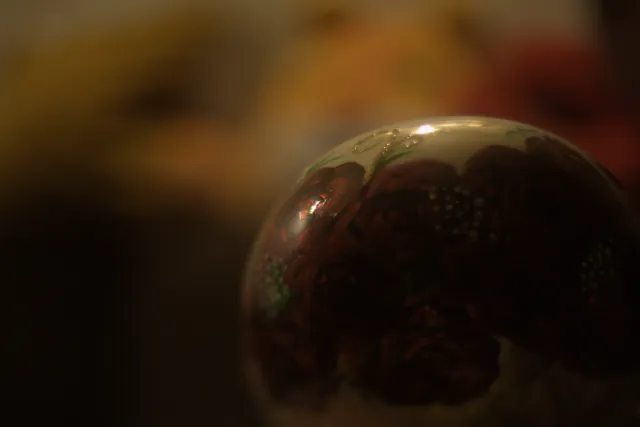 P.Angenieux Paris F.100mm.(M42) - 00001490.webp