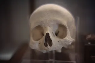 KOWA SUPER PROMINAR-16 50mm f1.2 Eiki 16mm (DIY) - 00003868.webp