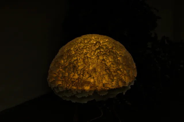 Zenith Helios-77M-4 50mm f1.8 VOMZ (M42) - 00001390.webp