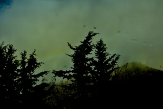 Tamron 28-300mm F3.5-6.3 (EF) - 00001469.webp