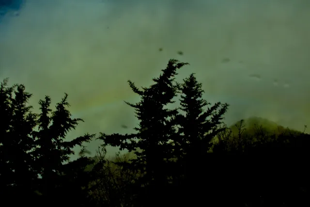 Tamron 28-300mm F3.5-6.3 (EF) - 00001469.webp