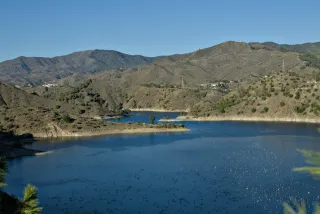 Tamron 28-300mm F3.5-6.3 (EF) - 00000777.webp