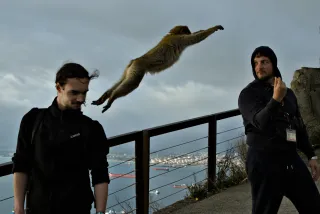 Tamron 28-300mm F3.5-6.3 (EF) - 00001483.webp