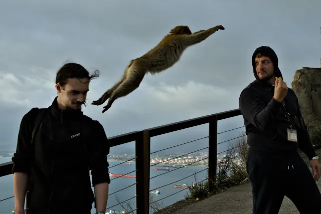 Tamron 28-300mm F3.5-6.3 (EF) - 00001483.webp