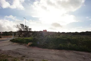 Carl Zeiss Flektogon f4 20mm (m42).md - 00004580.webp