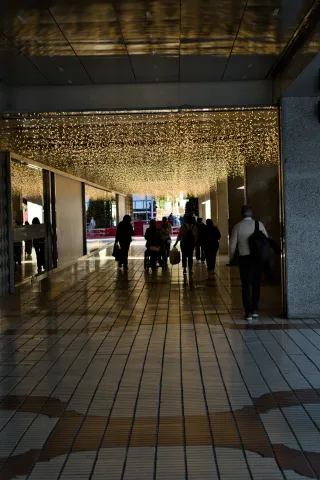 Zenith Helios-77M-4 50mm f1.8 VOMZ (M42) - 00000650.webp