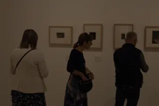 Tamron 28-300mm F3.5-6.3 (EF) - 00000533.webp