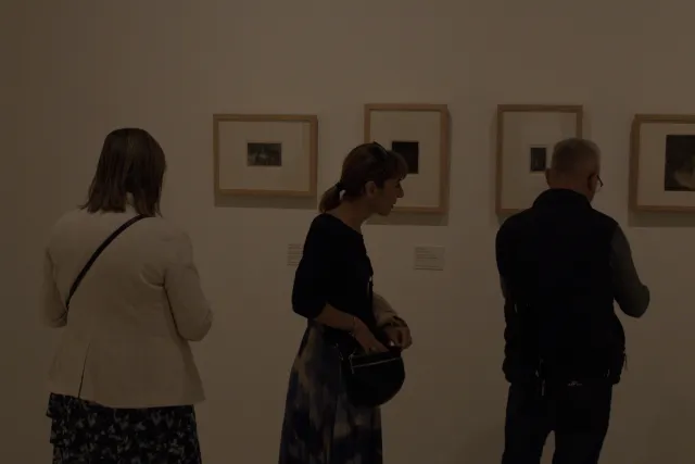 Tamron 28-300mm F3.5-6.3 (EF) - 00000533.webp