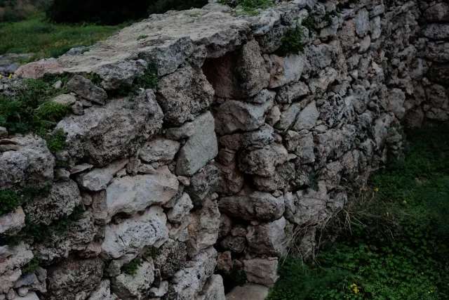 Carl Zeiss Jena DDR Pancolar Electric 50mm f1.8 (M42) - 00004529.webp