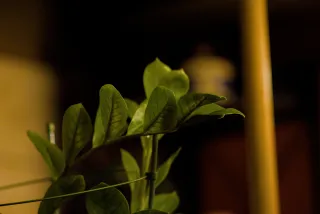 Carl Zeiss Jena Sonnar 180mm f2.8 MC (P6) - 00001504.webp