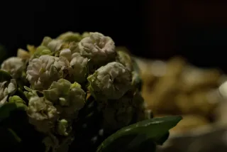 P.Angenieux Paris F.100mm.(M42) - 00001492.webp