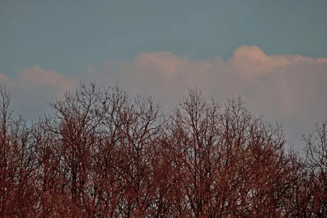 Spiratone Plura-Coat SharpShooter-S 400mm f6.3 (T2-M42) - 00005348.webp