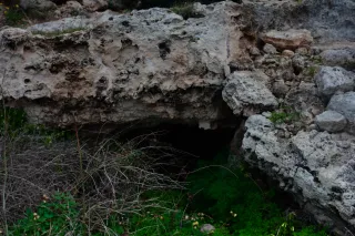 Carl Zeiss Jena DDR Pancolar Electric 50mm f1.8 (M42) - 00004525.webp