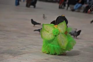 Tair-11A 135mm f2.8 (M42) - 00004005.webp