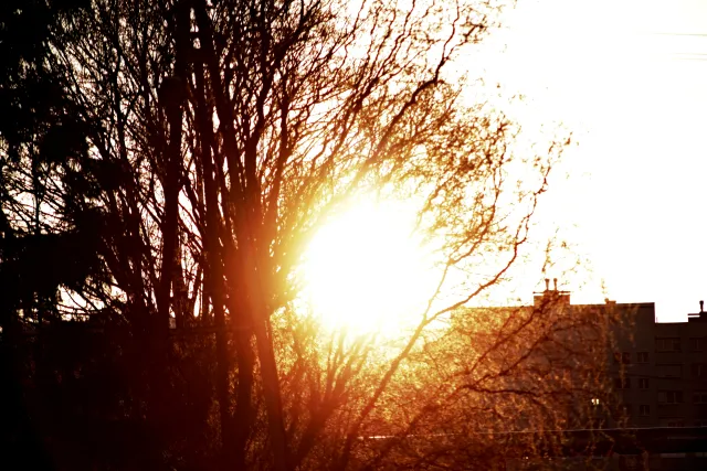 Canon FD 70-210mm f4 (FD) - 00005443.webp