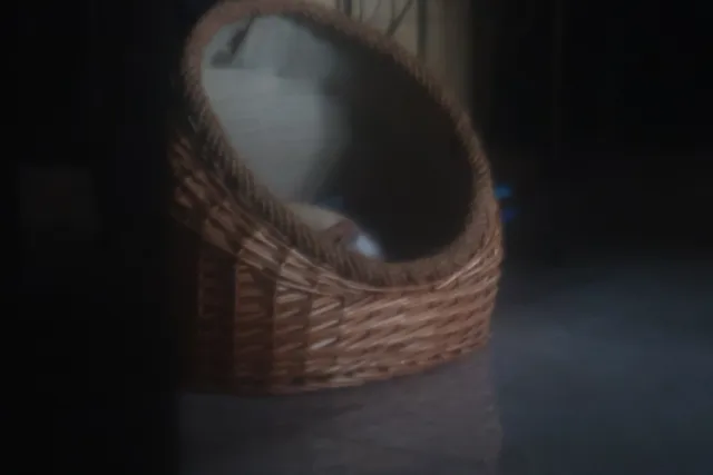 Meopta Belar 75mm F4.5 (M23.5) - 00003177.webp