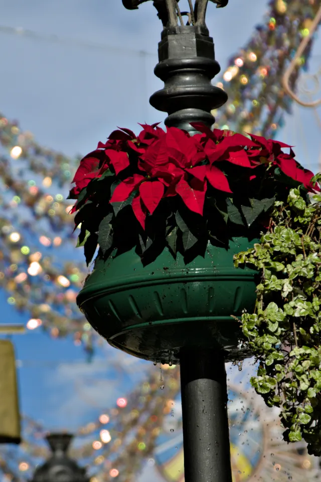 Tamron 28-300mm F3.5-6.3 (EF) - 00000541.webp