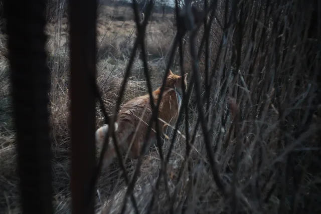 Mamiya-Sekor SX Auto 28mm f2.8 (M42) - 00004913.webp