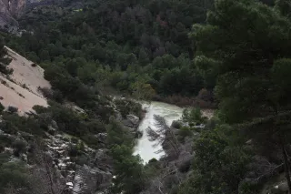 Minolta MC Rokkor-PF 55mm f1.7 (Minolta MCMD) - 00002996.webp