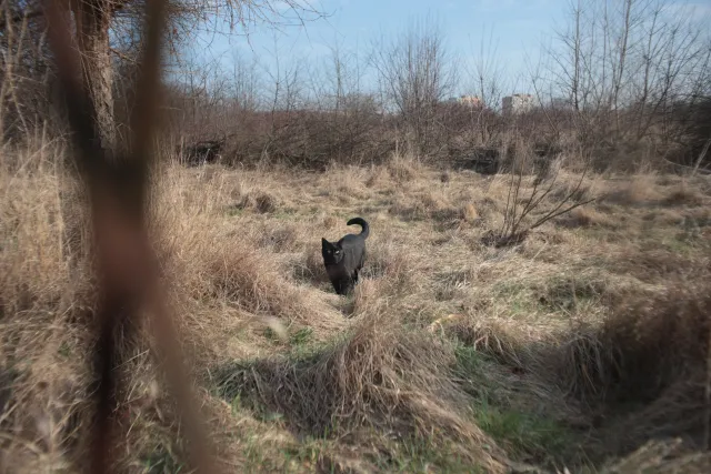 Mamiya-Sekor SX Auto 28mm f2.8 (M42) - 00004909.webp