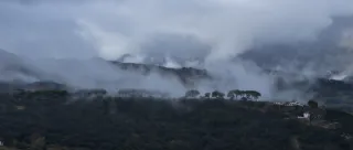 Tamron 28-300mm F3.5-6.3 (EF) - 00001455.webp