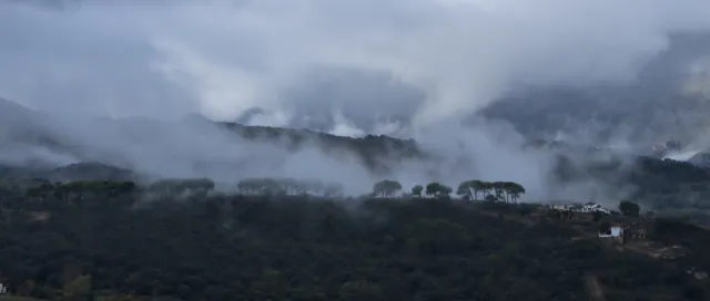 Tamron 28-300mm F3.5-6.3 (EF) - 00001455.webp