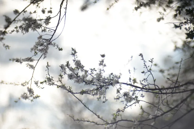 Helios 100mm f2 Mini Cyclop (M42) - z noktowizora - 00005682.webp