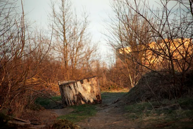 Canon FD 70-210mm f4 (FD) - 00005447.webp