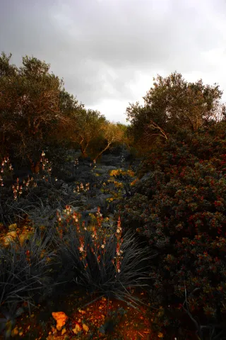 Carl Zeiss Flektogon f4 20mm (m42).md - 00004499.webp