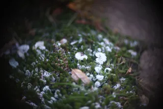 Simplex Ampro Ltd 2.5cala (63.5mm) f1.8 16mm (DIY) - 00002212.webp