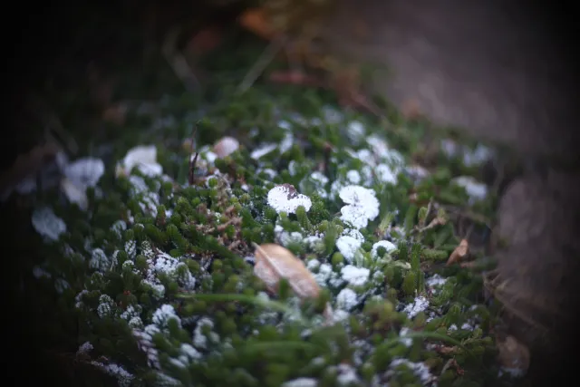 Simplex Ampro Ltd 2.5cala (63.5mm) f1.8 16mm (DIY) - 00002212.webp