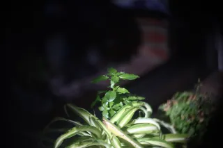 Simplex Ampro Ltd 2.5cala (63.5mm) f1.8 16mm (DIY) - 00003118.webp