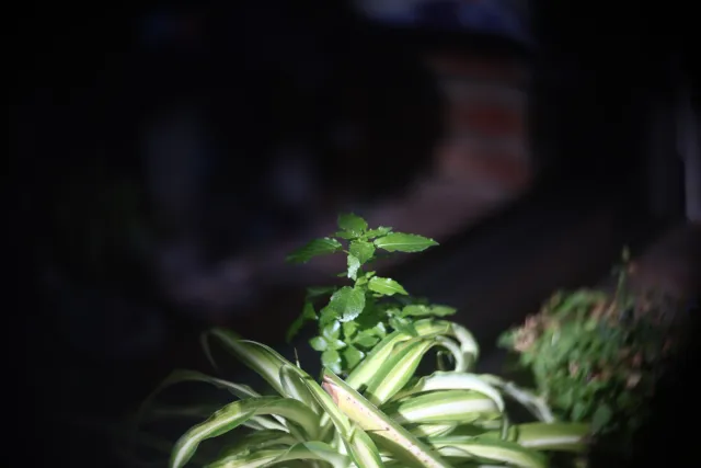 Simplex Ampro Ltd 2.5cala (63.5mm) f1.8 16mm (DIY) - 00003118.webp