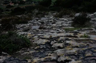 Carl Zeiss Jena DDR Pancolar Electric 50mm f1.8 (M42) - 00004542.webp