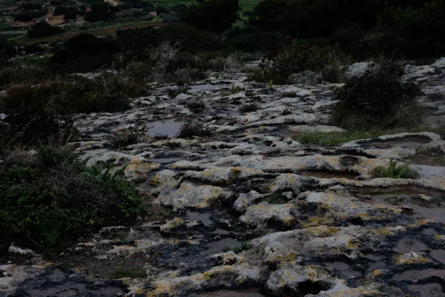 Carl Zeiss Jena DDR Pancolar Electric 50mm f1.8 (M42) - 00004542.webp